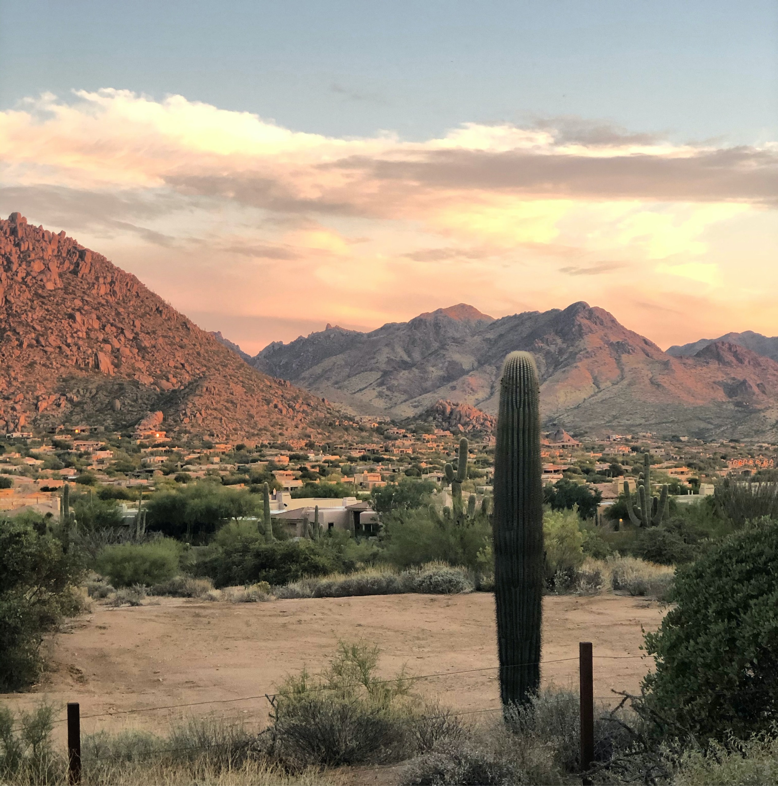 Visit State Farm Stadium in Glendale, Arizona