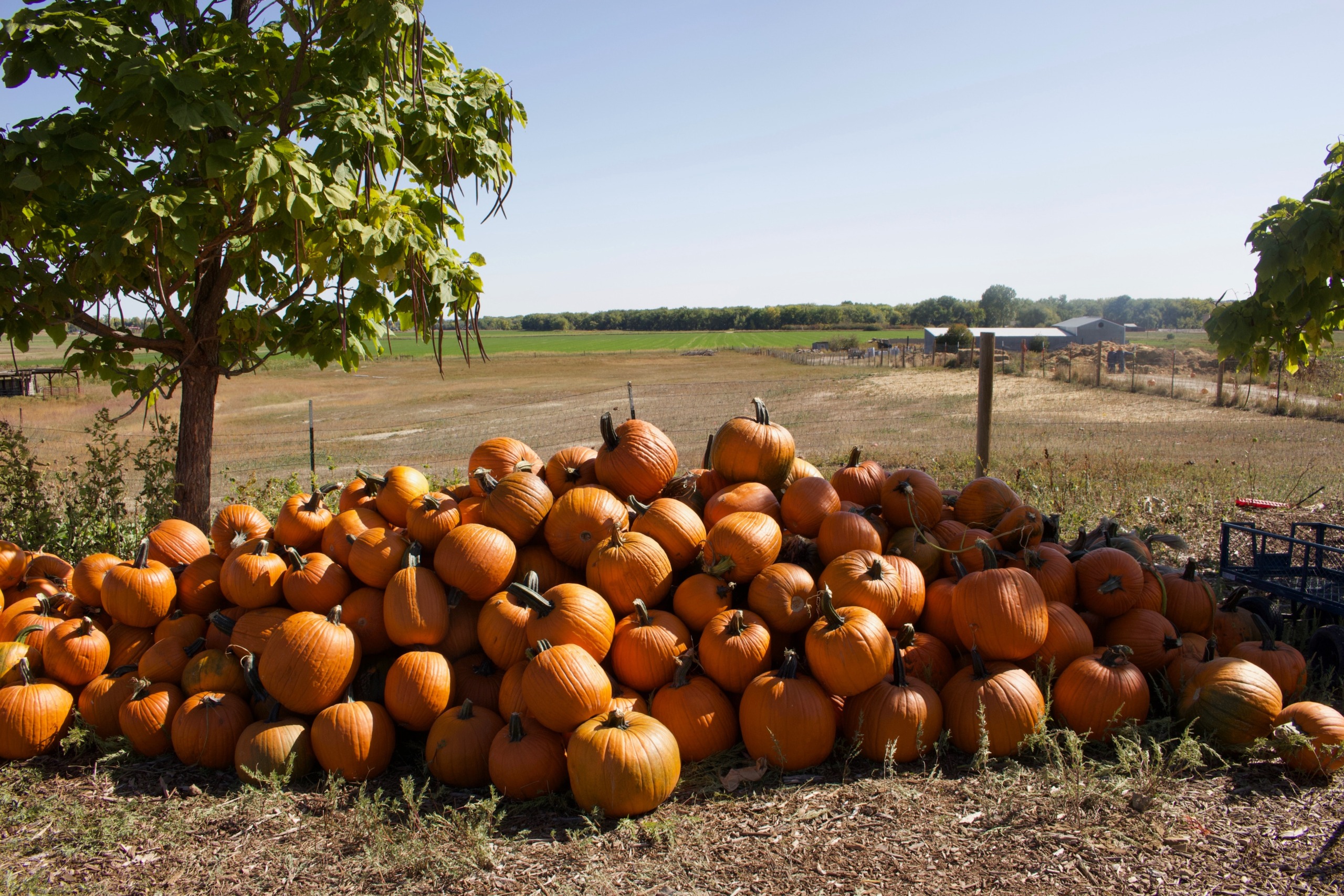 Your Guide to Fall in Boulder, Colorado