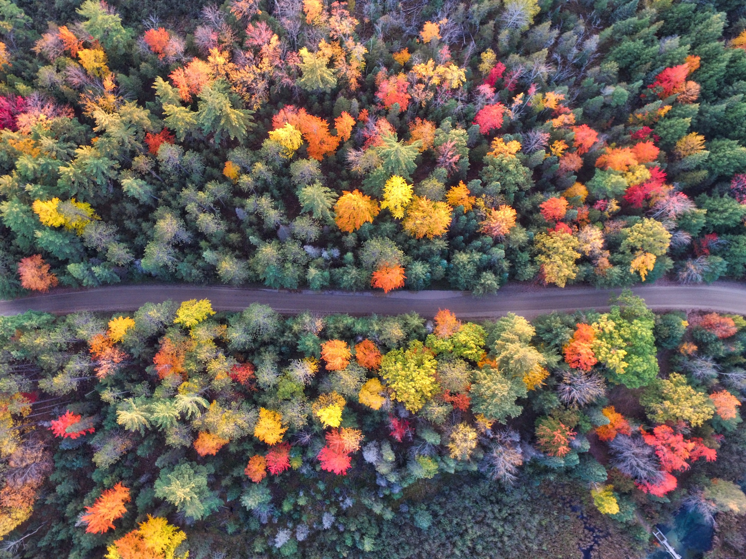 The Best Places to Watch the Leaves Change Color this Fall