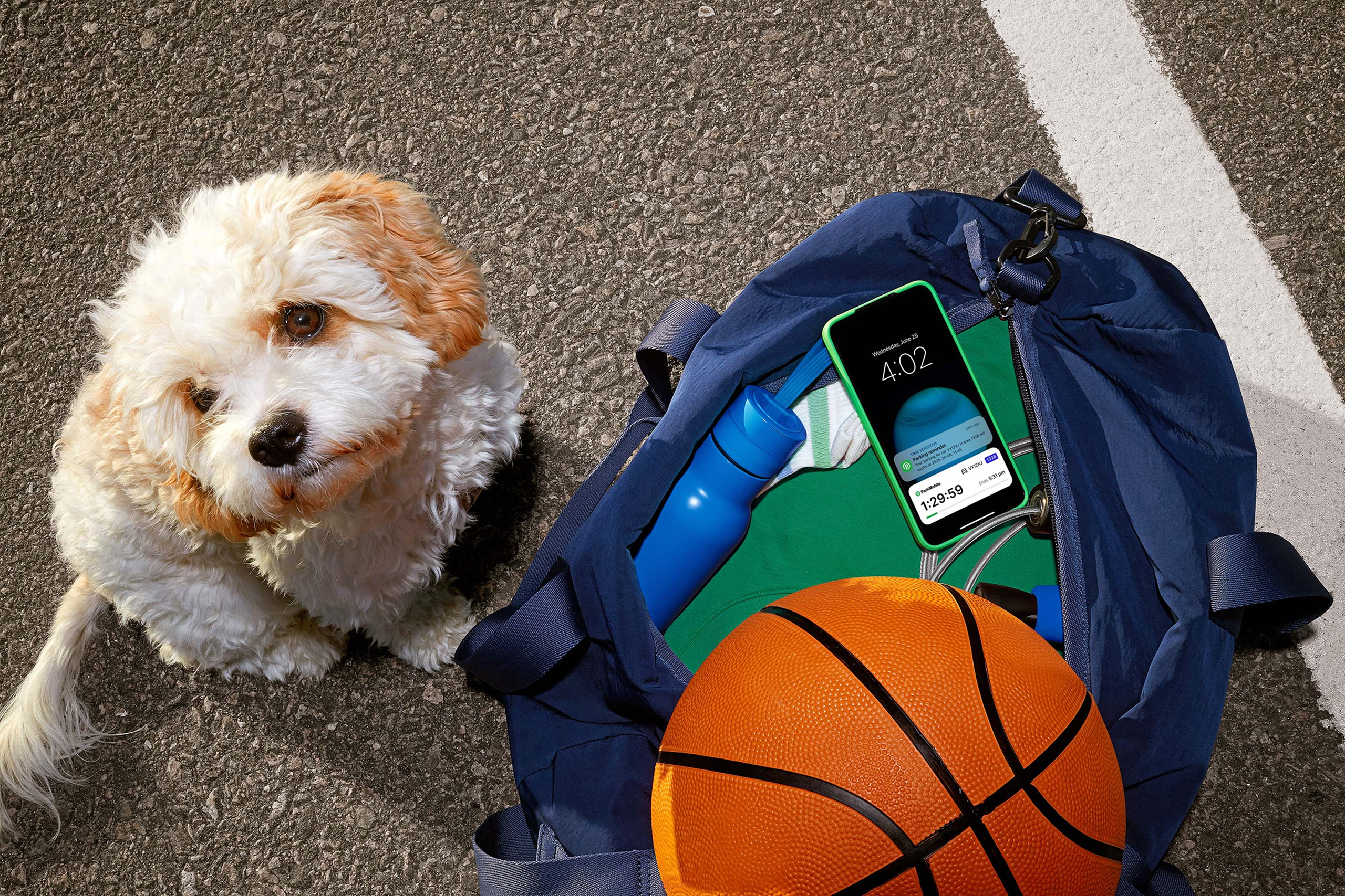 The Purpose Behind the Parking App: An Introduction to ParkMobile